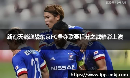 新泻天鹅迎战东京FC争夺联赛积分之战精彩上演